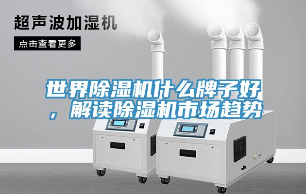 世界91看片网站什麽牌子好，解讀91看片网站市場趨勢