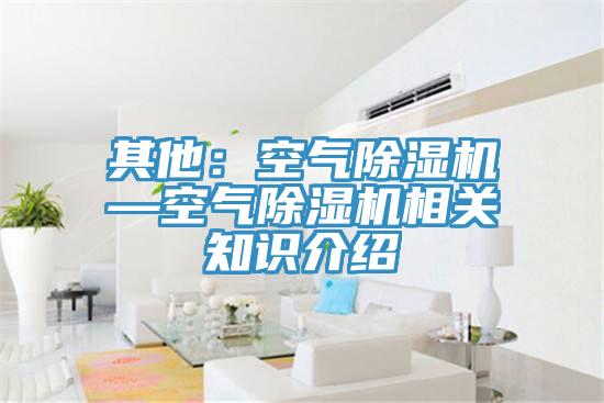 其他：空氣91看片网站—空氣91看片网站相關知識介紹
