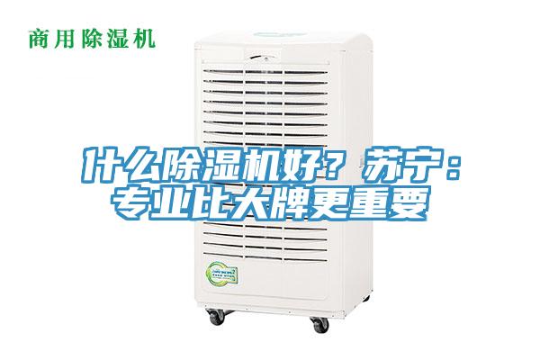 什麽91看片网站好？蘇寧：專業比大牌更重要