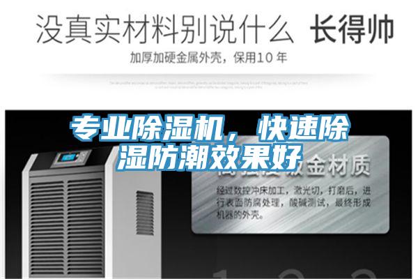 專業91看片网站，快速除濕防潮效果好