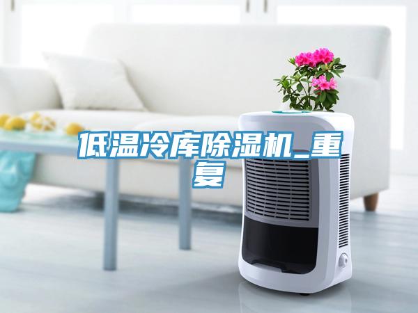低溫冷庫91看片网站_重複