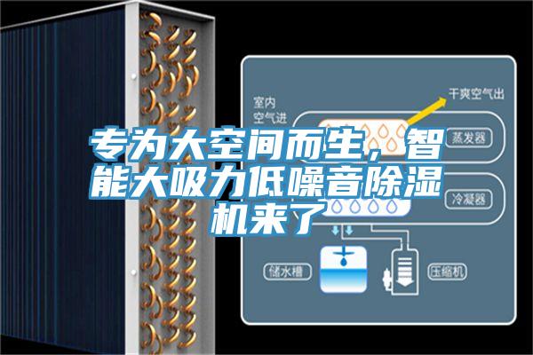 專為大空間而生，智能大吸力低噪音91看片网站來了