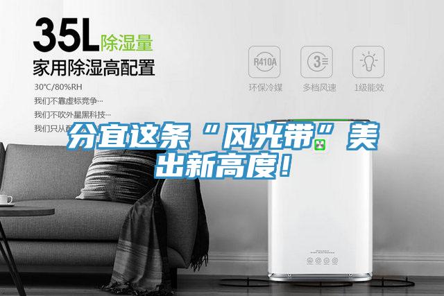 分宜這條“風光帶”美出新高度！