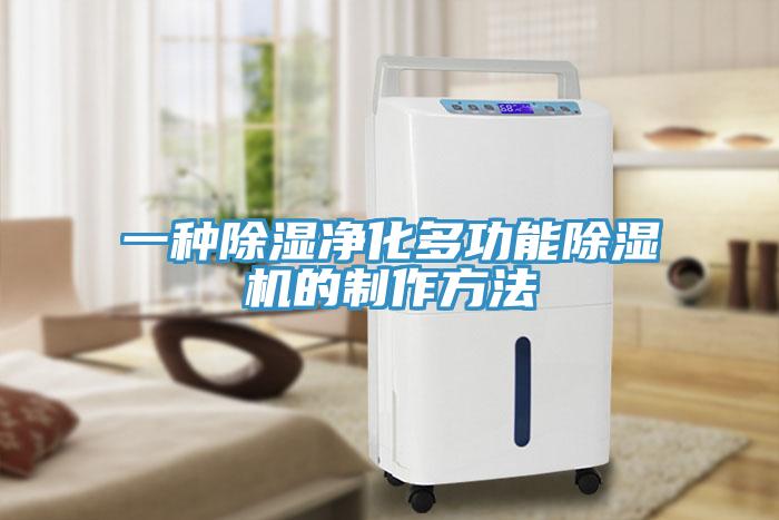 一種除濕淨化多功能91看片网站的製作方法