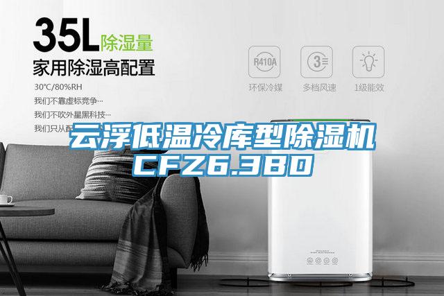 雲浮低溫冷庫型91看片网站CFZ6.3BD