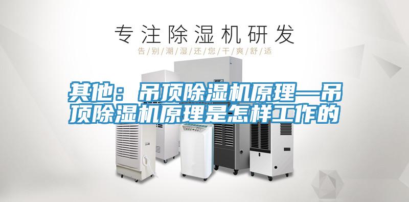 其他：吊頂91看片网站原理—吊頂91看片网站原理是怎樣工作的