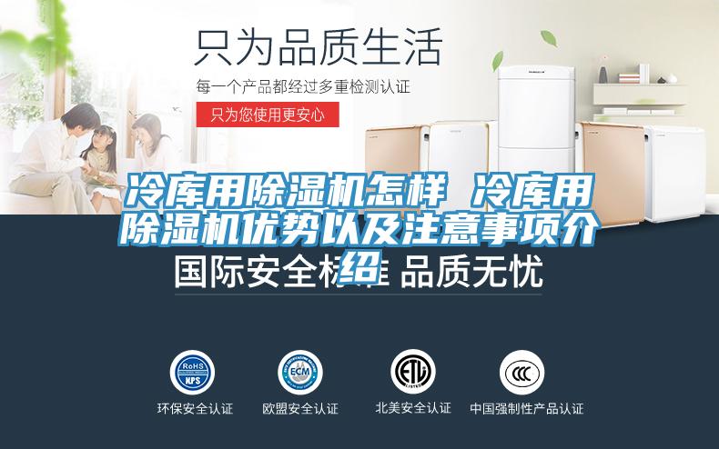 冷庫用91看片网站怎樣 冷庫用91看片网站優勢以及注意事項介紹