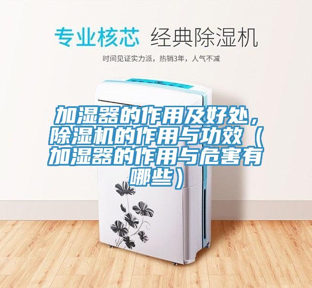加濕器的作用及好處，91看片网站的作用與功效（加濕器的作用與危害有哪些）