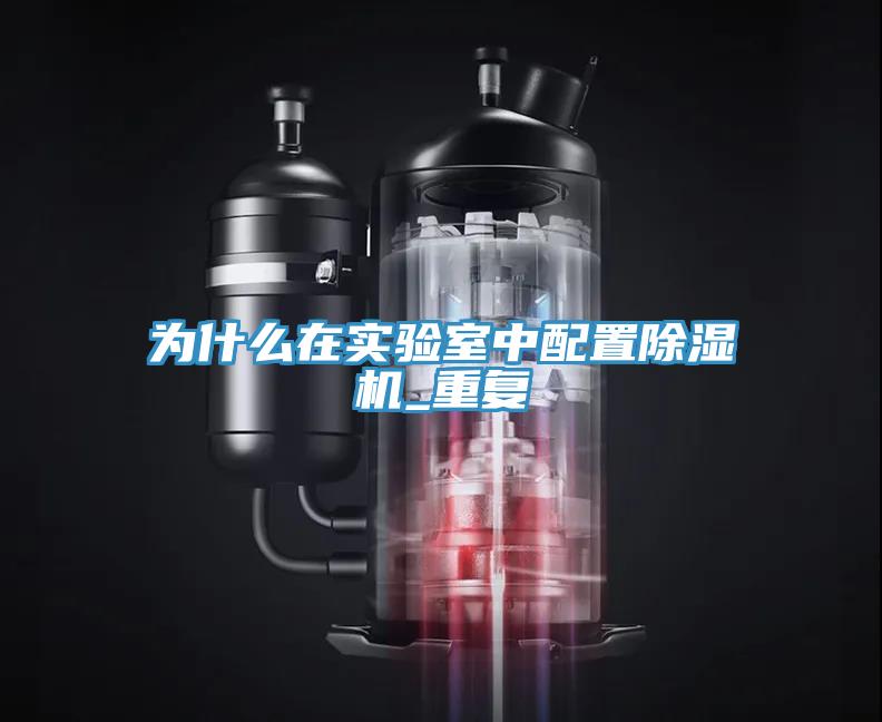 為什麽在實驗室中配置91看片网站_重複