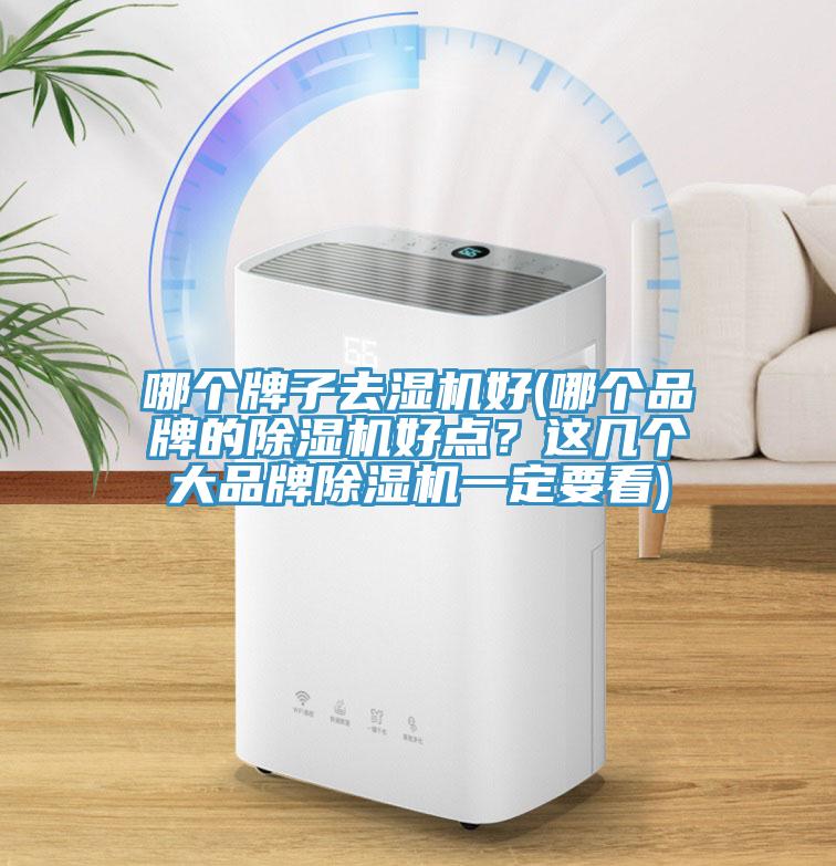 哪個牌子去濕機好(哪個品牌的91看片网站好點？這幾個大品牌91看片网站一定要看)