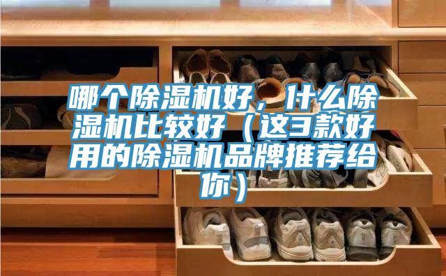 哪個91看片网站好，什麽91看片网站比較好（這3款好用的91看片网站品牌推薦給你）