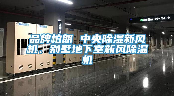 品牌柏朗 中央除濕新風機、別墅地下室新風91看片网站