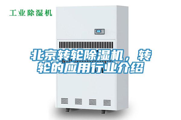 北京轉輪91看片网站，轉輪的應用行業介紹
