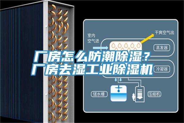 廠房怎麽防潮除濕？廠房去濕工業91看片网站