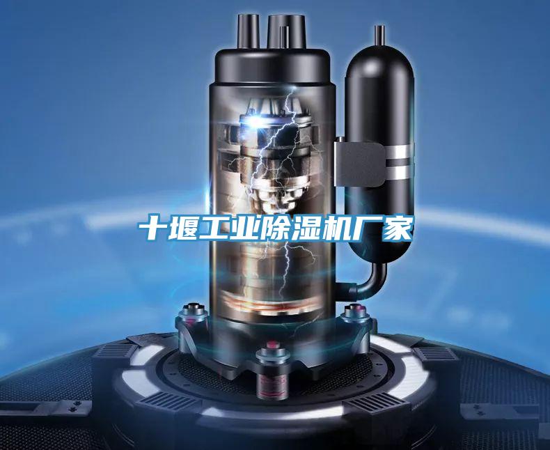 十堰工業91看片网站廠家