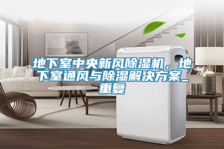 地下室中央新風91看片网站，地下室通風與除濕解決方案_重複