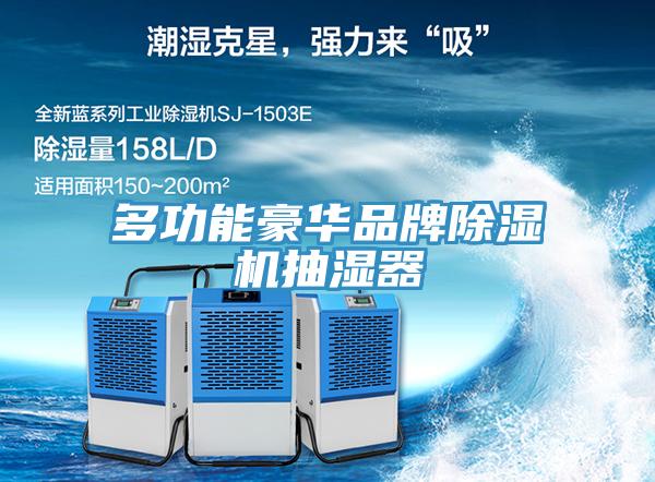 多功能豪華品牌91看片网站抽濕器