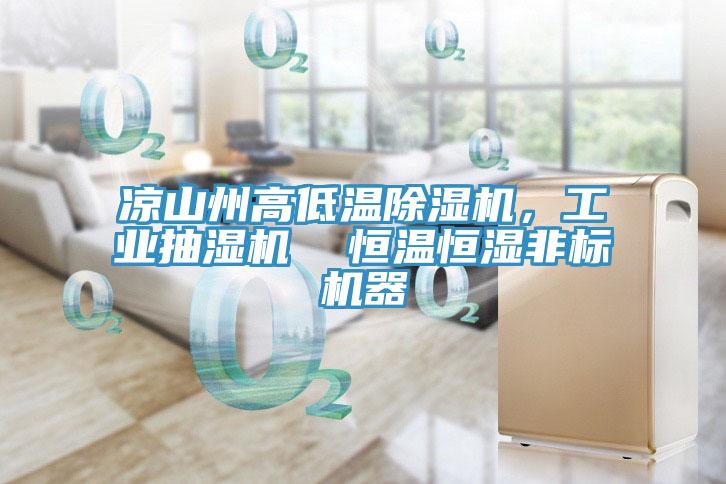 涼山州高低溫91看片网站，工業抽濕機  恒溫恒濕非標機器
