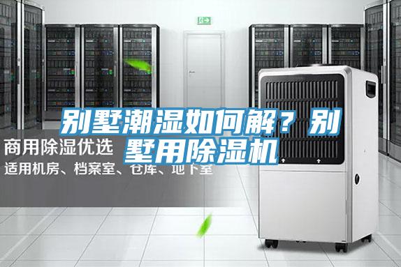 別墅潮濕如何解？別墅用91看片网站