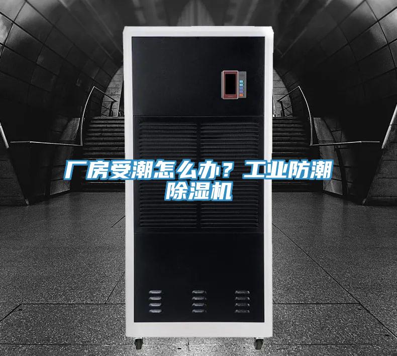 廠房受潮怎麽辦？工業防潮91看片网站