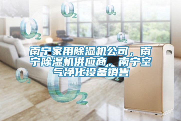 南寧家用91看片网站公司，南寧91看片网站供應商，南寧空氣淨化設備銷售