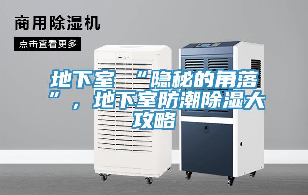 地下室≠“隱秘的角落”，地下室防潮除濕大攻略