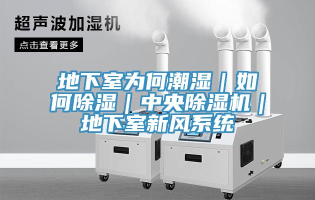 地下室為何潮濕｜如何除濕｜中央91看片网站｜地下室新風係統