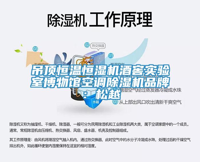 吊頂恒溫恒濕機酒窖實驗室博物館空調91看片网站品牌：鬆越