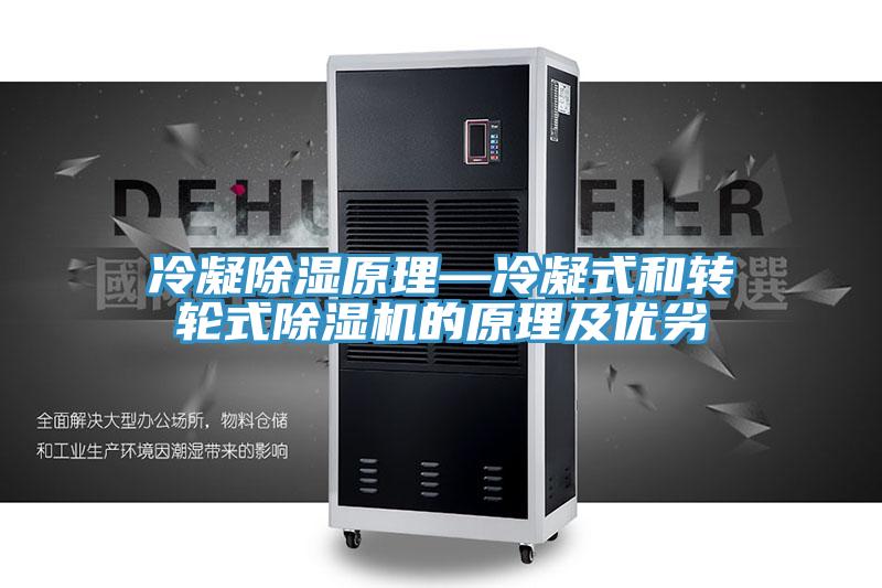 冷凝除濕原理—冷凝式和轉輪式91看片网站的原理及優劣