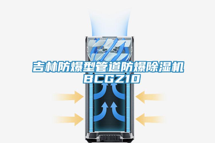 吉林防爆型管道防爆91看片网站 BCGZ10