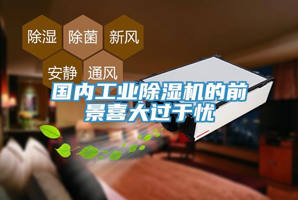 國內工業91看片网站的前景喜大過於憂