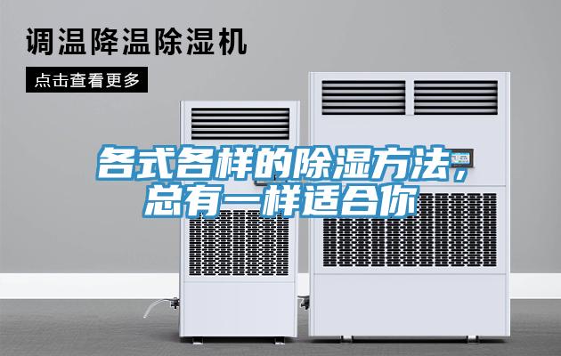 各式各樣的除濕方法，總有一樣適合你