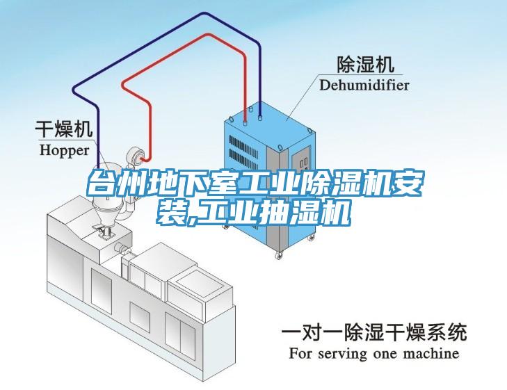 台州地下室工業91看片网站安裝,工業抽濕機