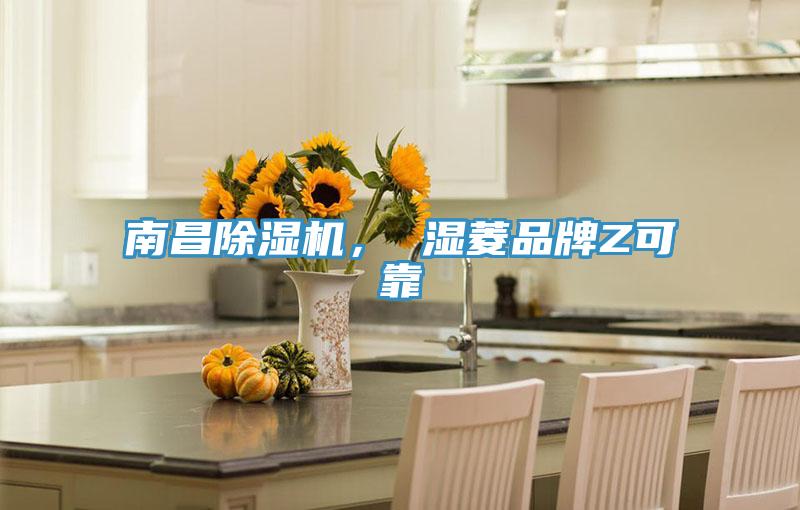 南昌91看片网站， 濕菱品牌Z可靠