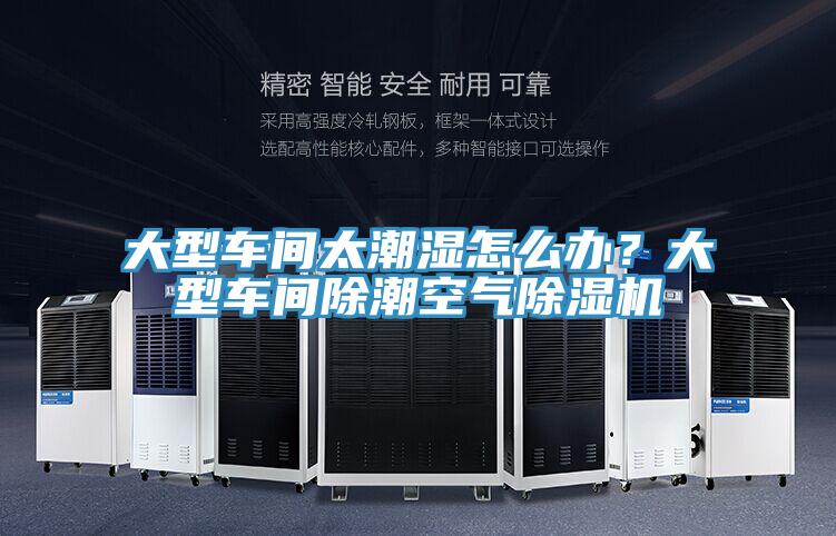 大型車間太潮濕怎麽辦？大型車間除潮空氣91看片网站