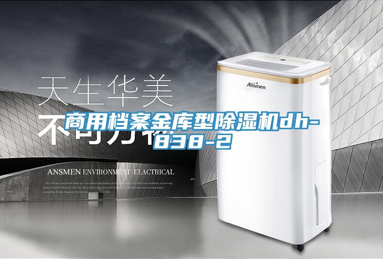 商用檔案金庫型91看片网站dh-838-2