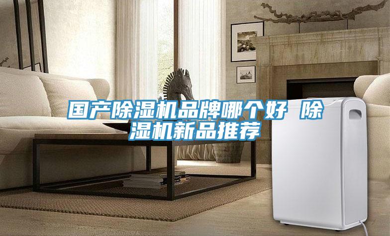 國產91看片网站品牌哪個好 91看片网站新品推薦