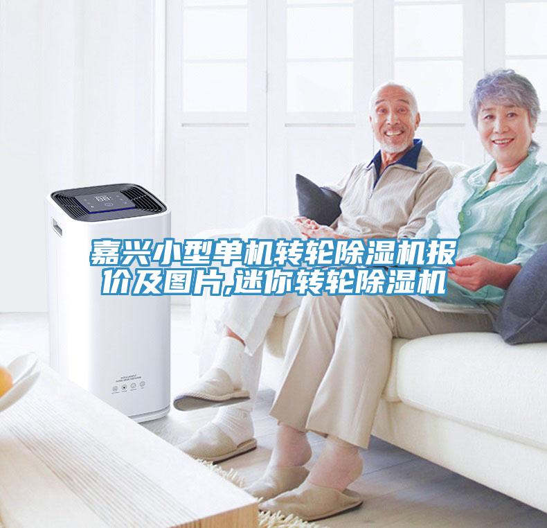 嘉興小型單機轉輪91看片网站報價及圖片,迷你轉輪91看片网站