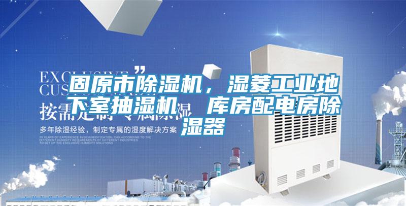固原市91看片网站，濕菱工業地下室抽濕機  庫房配電房除濕器