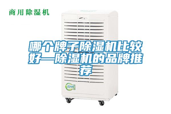 哪個牌子91看片网站比較好—91看片网站的品牌推薦