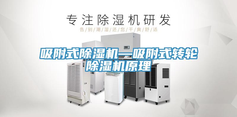 吸附式91看片网站—吸附式轉輪91看片网站原理