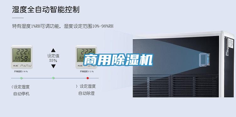 商用91看片网站
