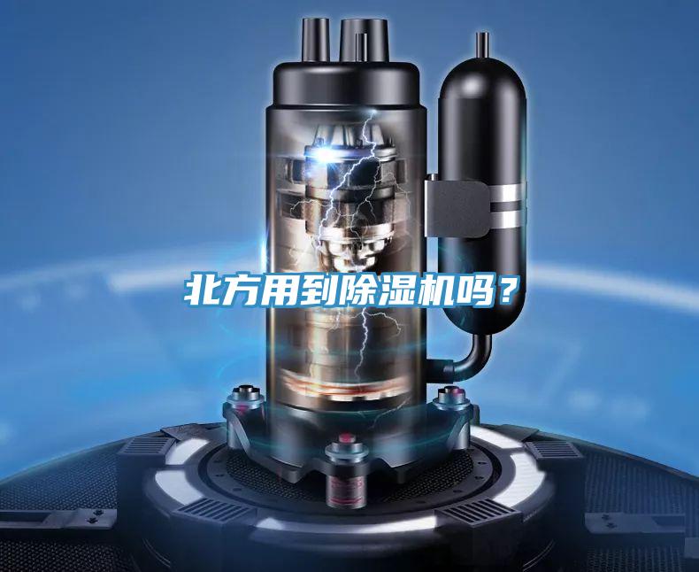 北方用到91看片网站嗎？