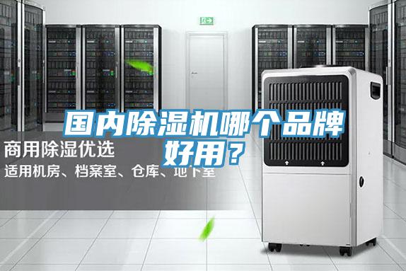 國內91看片网站哪個品牌好用？