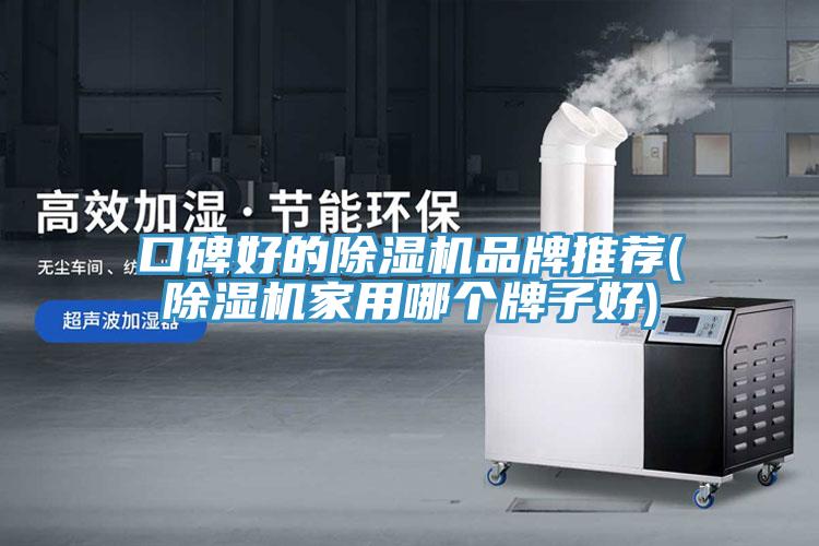 口碑好的91看片网站品牌推薦(91看片网站家用哪個牌子好)
