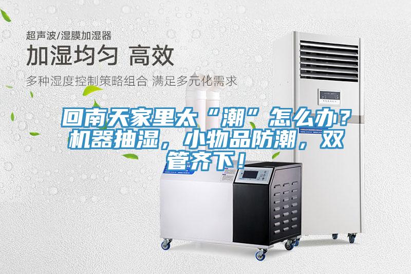 回南天家裏太“潮”怎麽辦？機器抽濕，小物品防潮，雙管齊下！