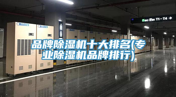 品牌91看片网站十大排名(專業91看片网站品牌排行)