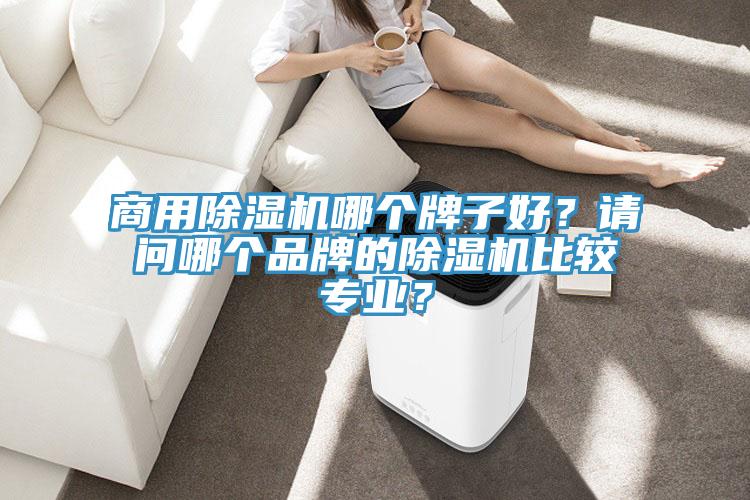 商用91看片网站哪個牌子好？請問哪個品牌的91看片网站比較專業？