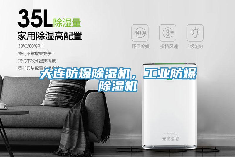 大連防爆91看片网站，工業防爆91看片网站