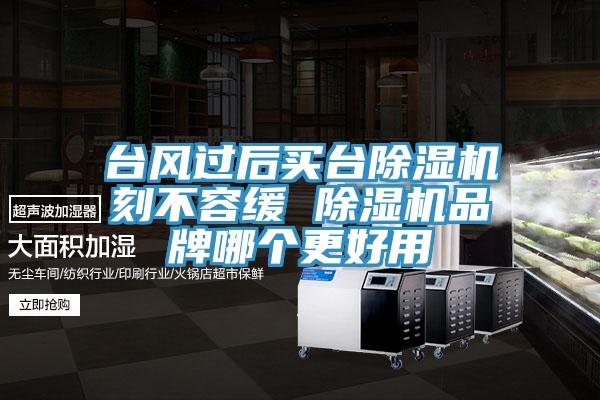 台風過後買台91看片网站刻不容緩 91看片网站品牌哪個更好用
